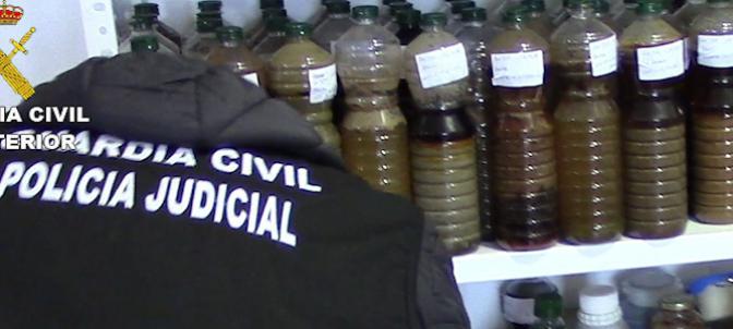 La Guardia Civil interviene 120 toneladas de aceite de oliva falso