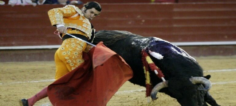 Toros