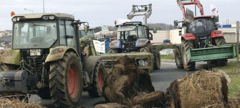 Lactalis, el fabricante que peor paga a los ganaderos franceses