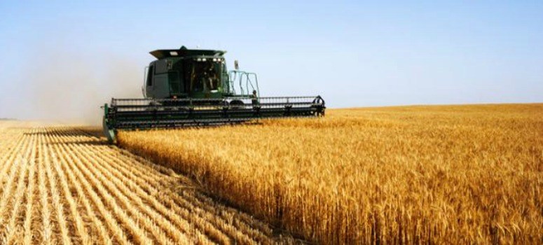 Bankia financiará con 100 millones a pymes del sector agrario