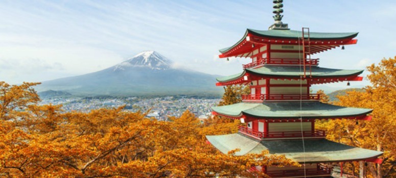 Iberia y Japan Airlines amplían su acuerdo de código compartido