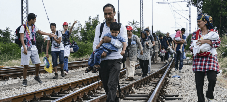 migracion