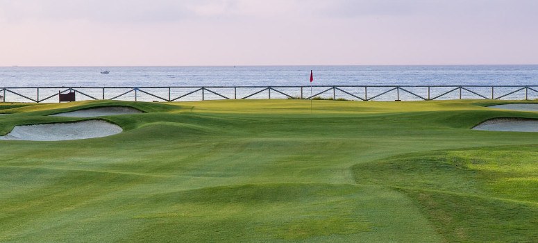 Martinsa subasta el campo de golf de Guadalmina y el Club Náutico