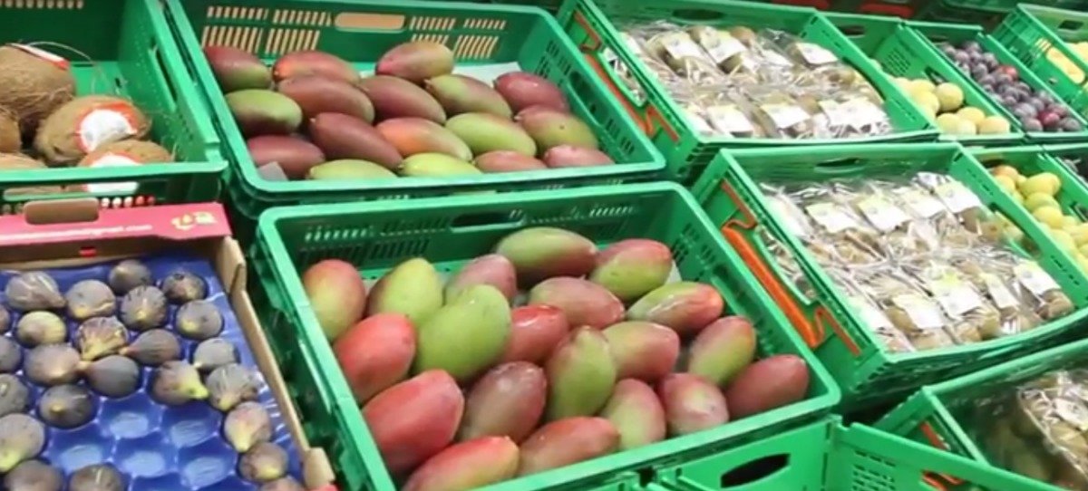 Mercadona inicia la campaña de mango 100% español