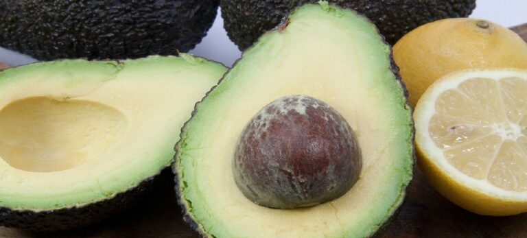 Aguacate