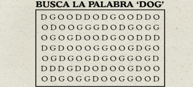 La sopa de letras más complicada: encuentra la palabra DOG