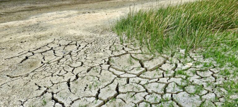 Cambio climático