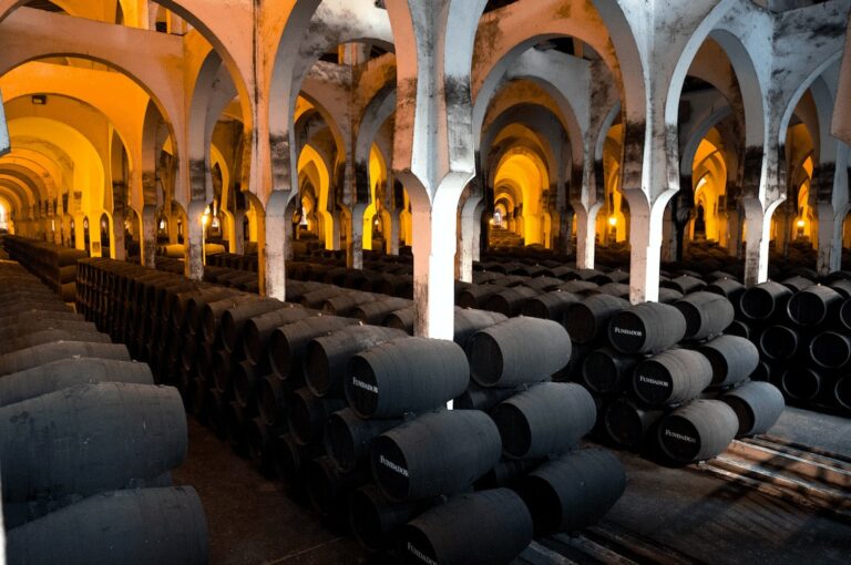 Bodega La Mezquita (Bodegas Fundador)