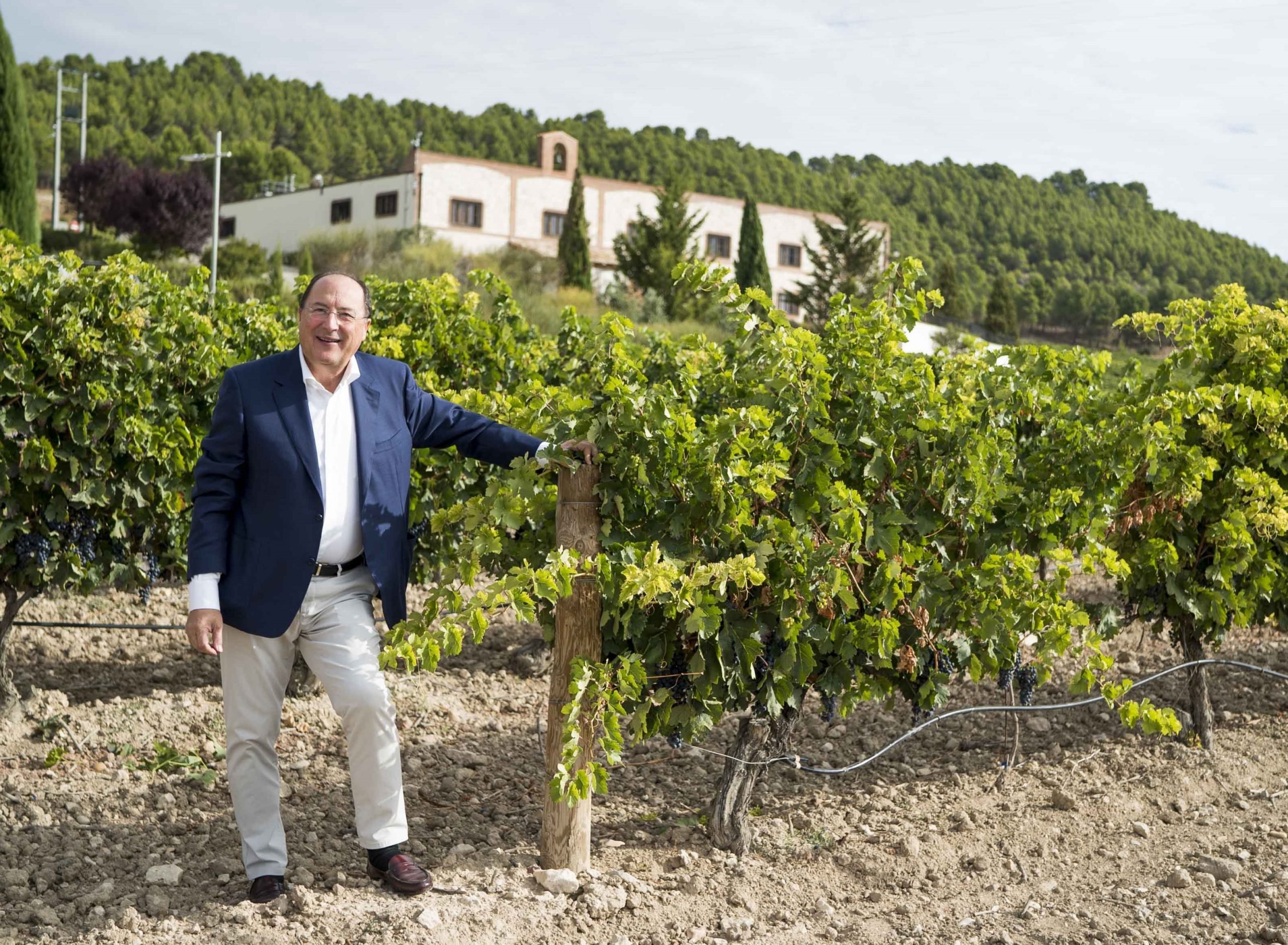El ‘visionario’ Carlos Moro, premio Acevin al Mérito Enoturístico