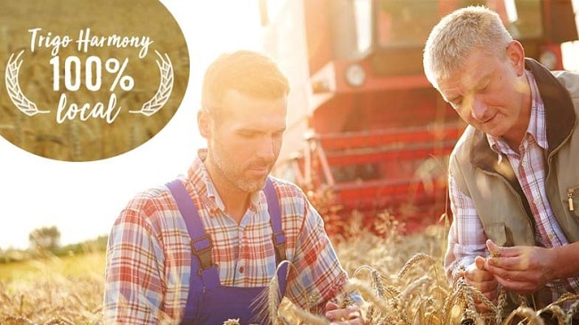 Las claves de Compromiso Harmony detrás de las galletas Fontaneda