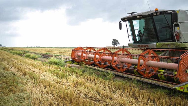 Nespresso dona 152 toneladas de arroz a Bancos de Alimentos