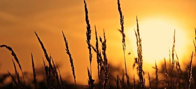 Samsung actúa responsablemente para luchar contra el cambio climático