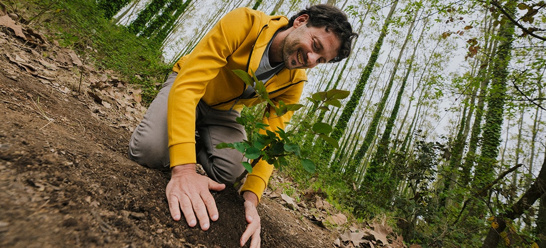 Zurich Seguros plantará un árbol por cada nueva póliza que contraten sus clientes