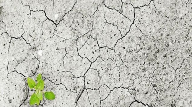 Generali actualiza su estrategia de protección contra el clima