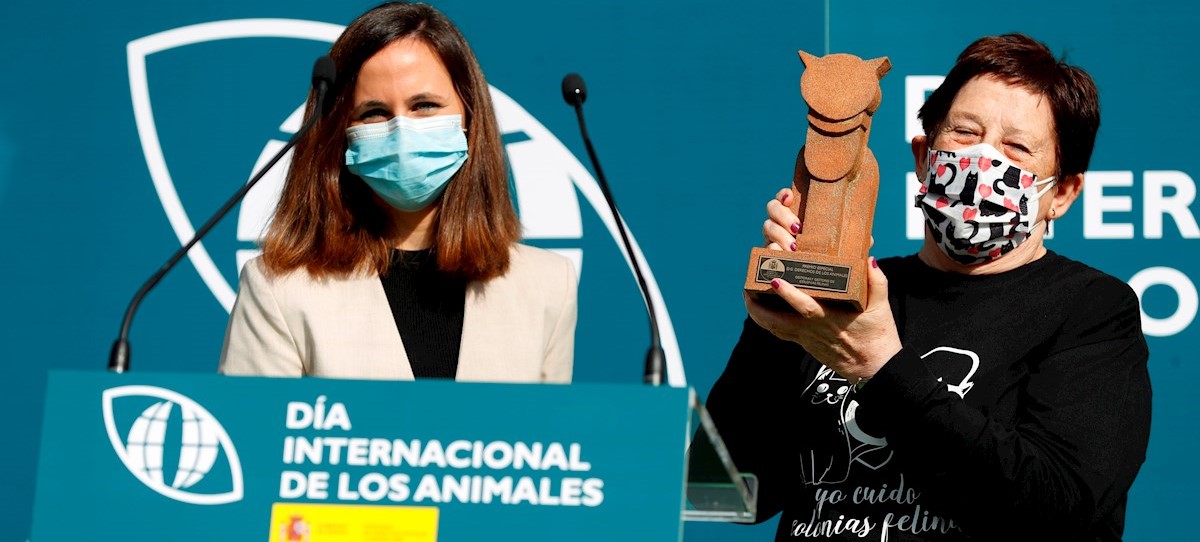 «¿Ante la subida del precio de la gasolina, entonces qué tenemos que hacer, ahorcar al presidente de Repsol?»