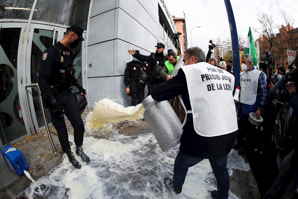 Lactalis asegura que 0,60 euros por litro de leche cubren ‘ampliamente’ los costes del ganadero