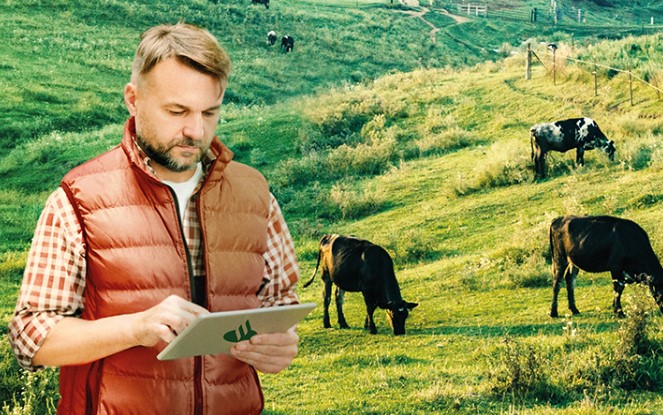Avanis, la plataforma digital agroalimentaria del Banco Santander