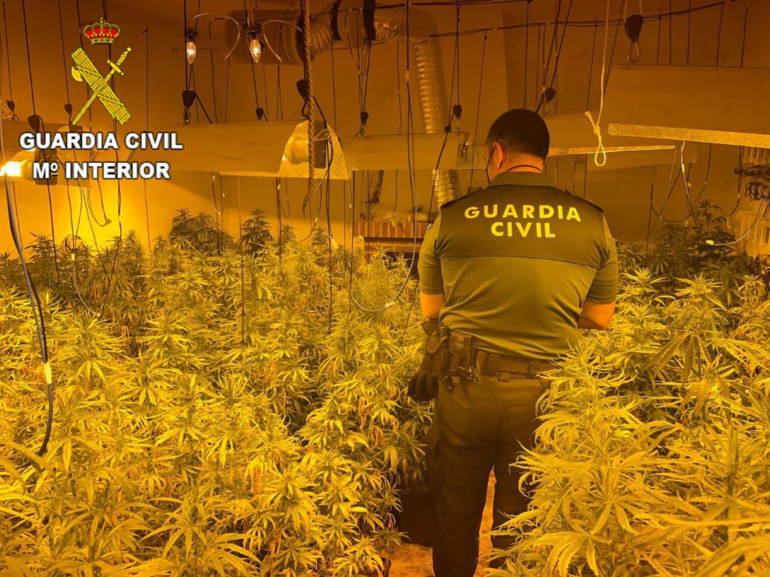 Endesa asegura que el 28% del fraude eléctrico procede de plantaciones de marihuana