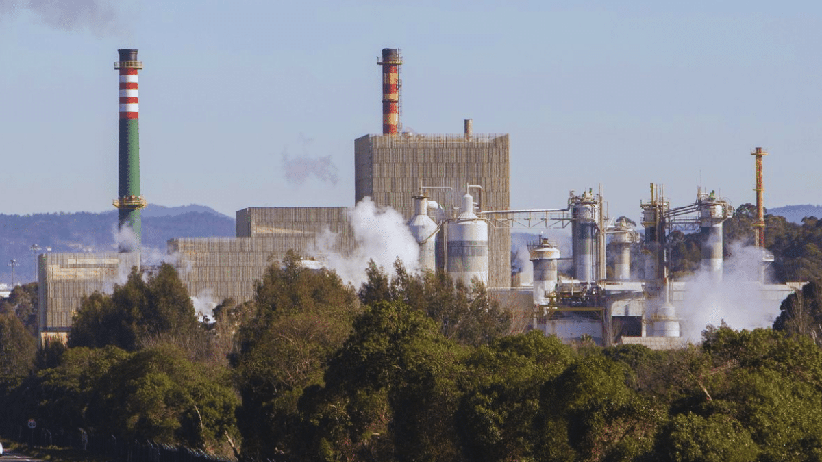Ence prevé que los nuevos precios regulatorios reduzcan su beneficio neto en 52 millones